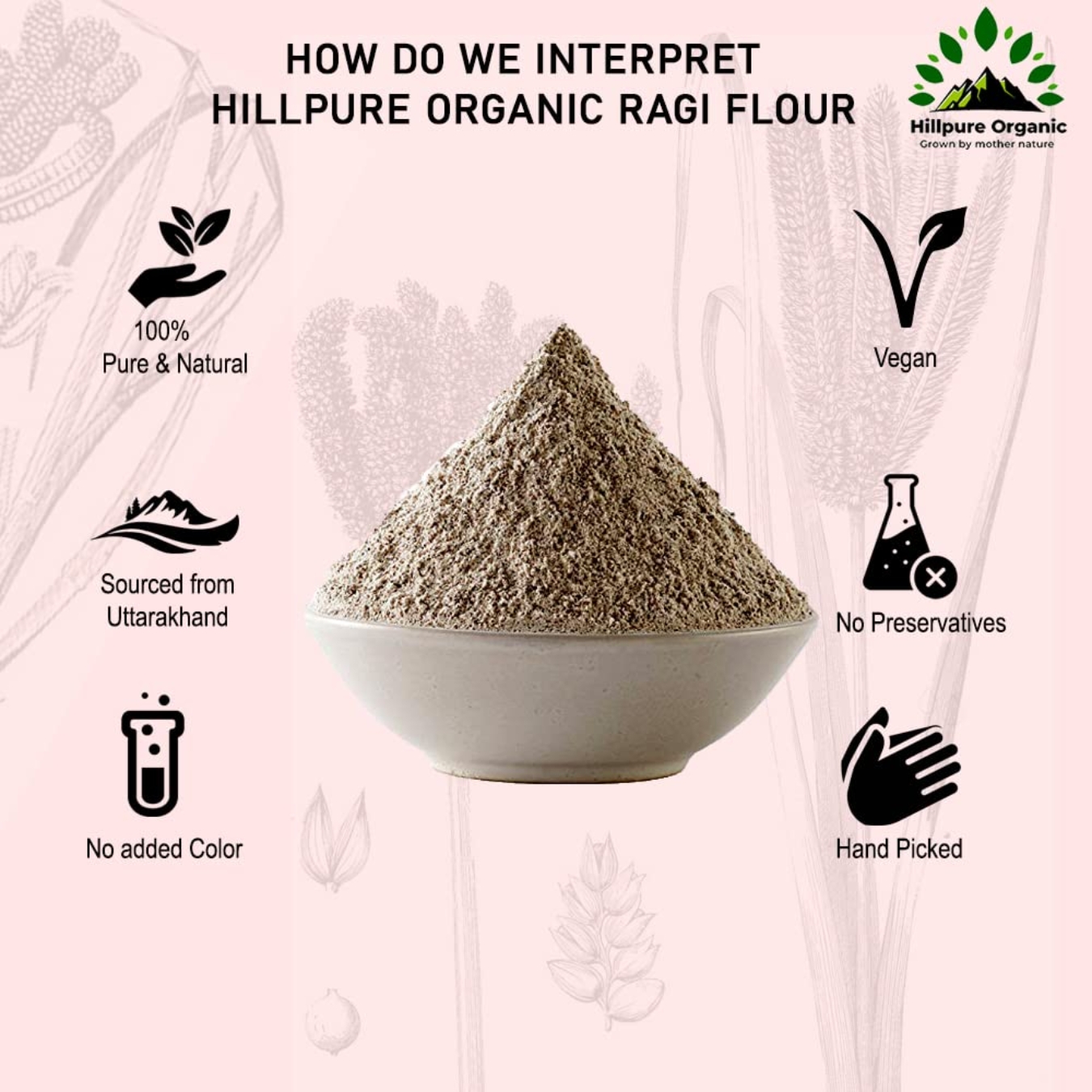 Hillpure Organic Ragi Flour |Finger Millet Flour| Nachani Flour| Unpolished Millet Rich in Protein | High Calcium, Iron, and Fibre | For Digestion Weight loss from Uttarakhand (1 Kg+1 Kg) - Image 2