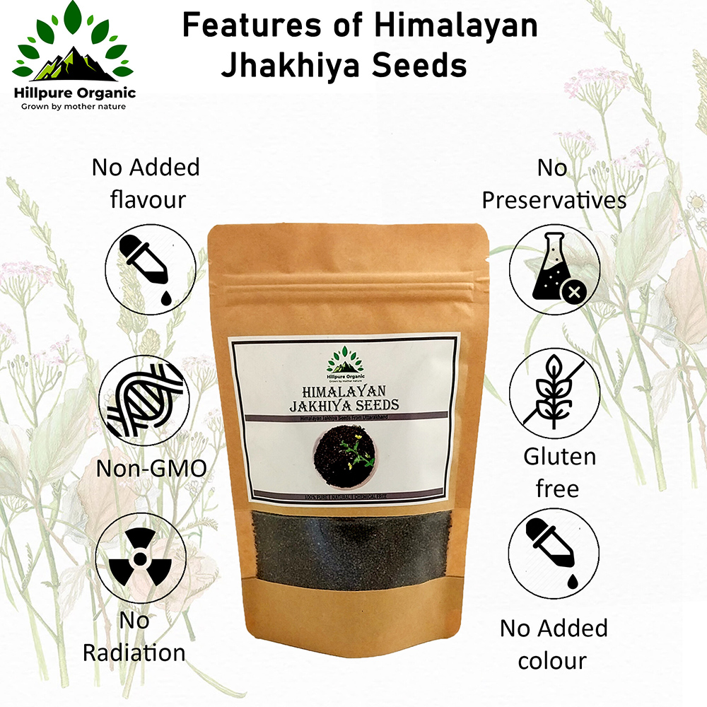 Hillpure Organic Himalayan Jhakhiya Seeds | Super Food of Uttarakhand |100% Pure & Natural | Cleome viscosa Seeds | Wild Mustard ( 175 GM ) - Image 2