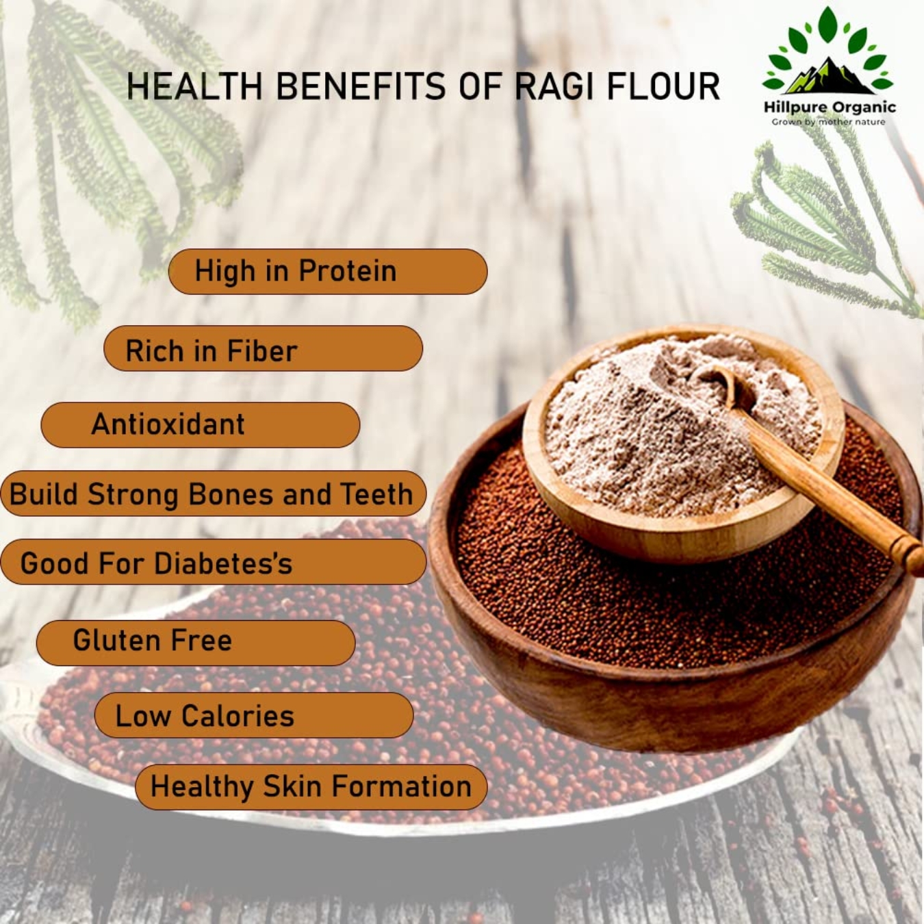 Hillpure Organic Ragi Flour |Finger Millet Flour| Nachani Flour| Unpolished Millet Rich in Protein | High Calcium, Iron, and Fibre | For Digestion Weight loss from Uttarakhand (1 Kg+1 Kg) - Image 3