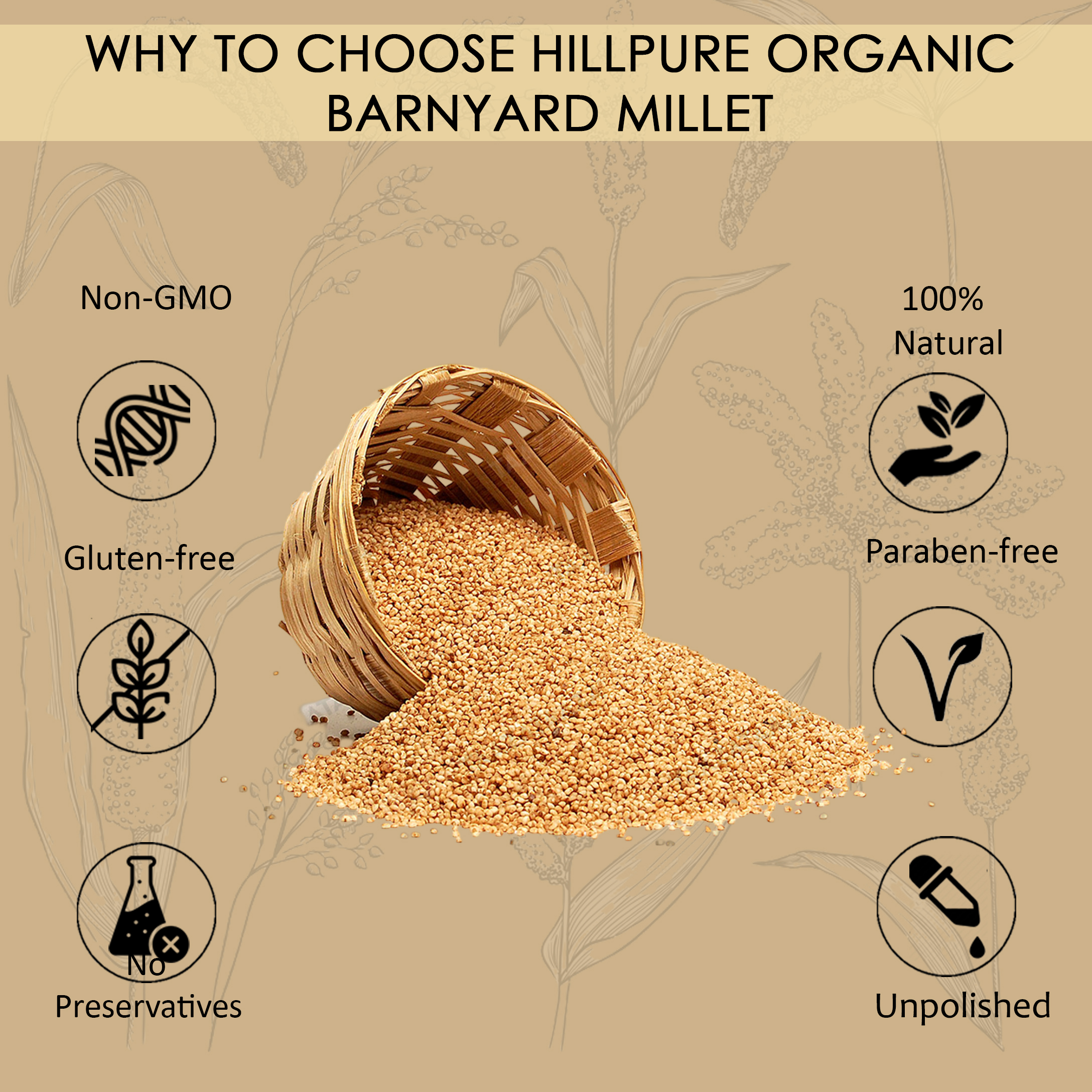 Hillpure Organic Barnyard Millet, Natural Grains, Unpolished, Sanwa, Jhangora Barnyard Millet (1 kg) - Image 3