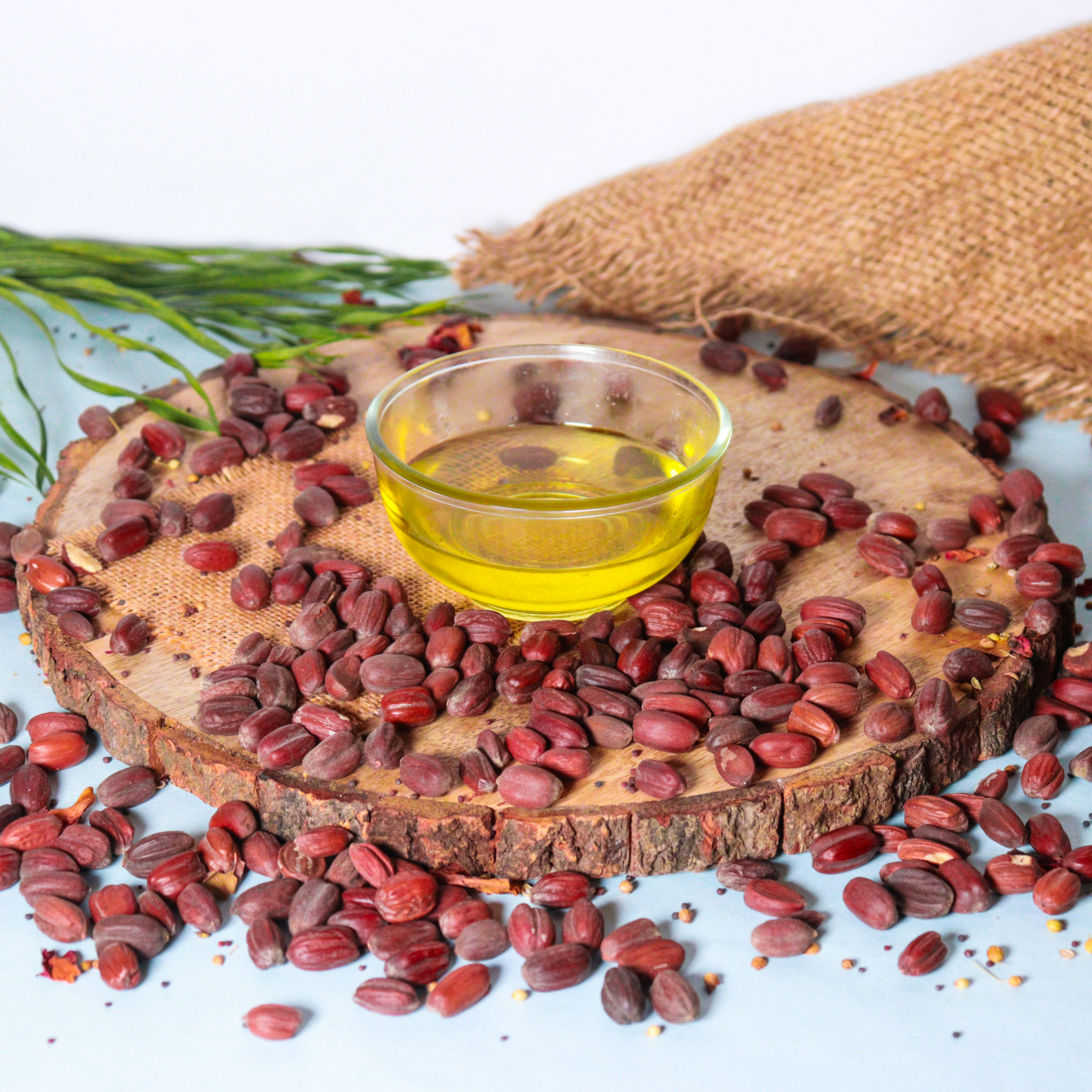 Hillpure Organic Cold Pressed Jojoba Seed Oil,100% Pure & Natural for Face, Hair & Body (65 ml, Glass Bottle) - Image 5