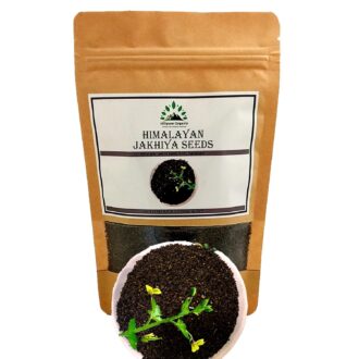 Hillpure Organic Himalayan Jhakhiya Seeds | Super Food of Uttarakhand |100% Pure & Natural | Cleome viscosa Seeds | Wild Mustard ( 175 GM )